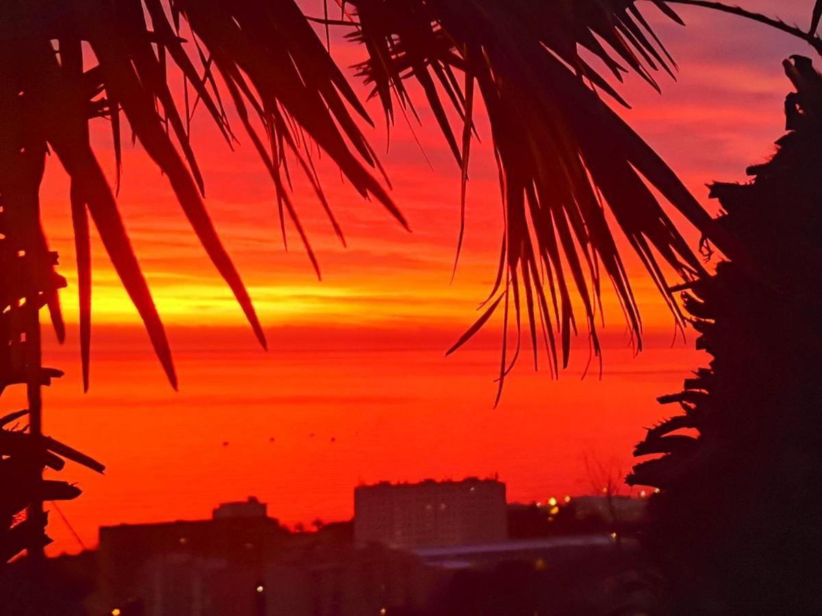 Appartamento Spacieux A Bastia Avec Vue Et Montagne. *