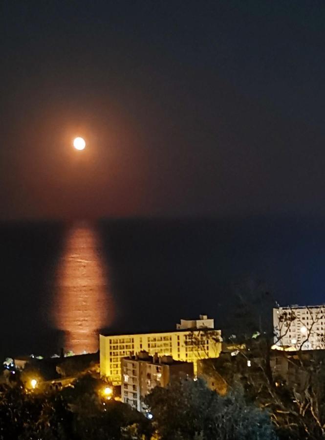 Appartement Spacieux A Bastia Avec Vue Et Montagne.