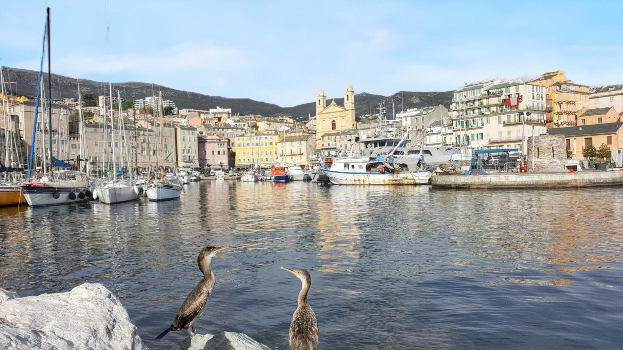 Appartement Spacieux A Bastia Avec Vue Et Montagne.